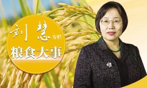 生蚝肉的做法-生蚝肉怎么做有营养网 - 网站提供生蚝肉怎么做最好吃又简单小常识、生蚝肉整个都能吃吗